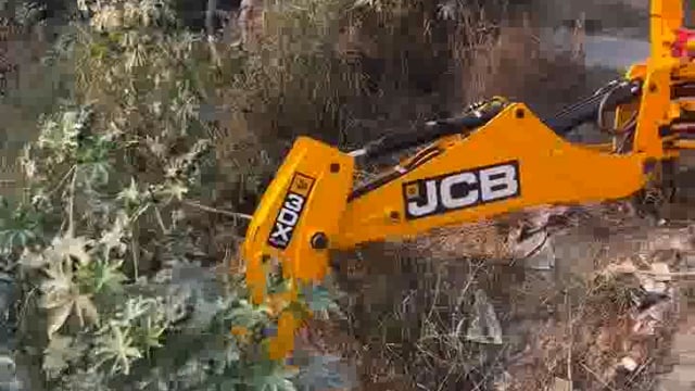 मेरठ में CCS यूनिवर्सिटी के छात्र ने सीसीएस यूनिवर्सिटी के पास के जंगल में अजगर दिखने की सूचना पर अजगर की तलाश जारी। 