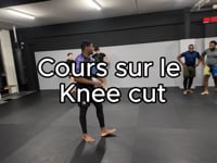 Knee cut