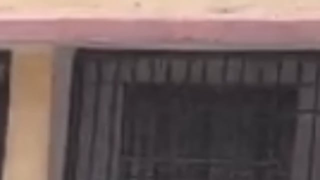 वाल्मीकि टाइगर रिजर्व में जंगली भैंसे से टकराई चंपारण हमसफर एक्सप्रेस