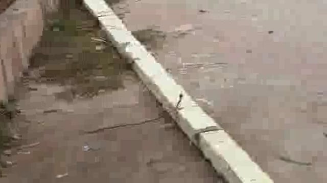 पलिया में गन्ना भरे ट्रक से गिरा विद्युत पोल, ओवरलोडिंग पर प्रशासन बेबस, सम्पूर्णानगर रोड पर बड़ा हादसा टला, दहशत में लो