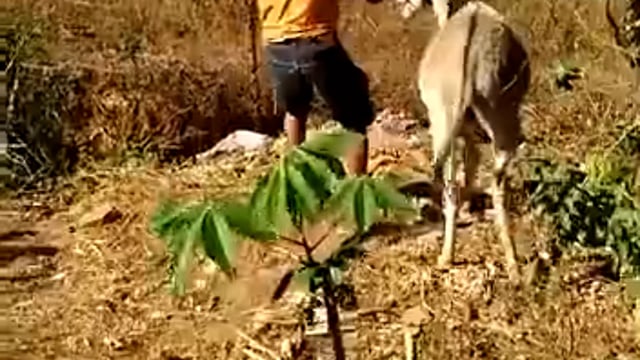 .➡️....जुल्म की जब हद पार होती हैँ तो गधे भी विरोध कर देते हैँ और हम लोग तो फिर भी इंसान हैँ*