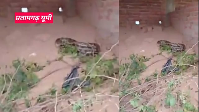 UP के प्रतापगढ़ जिले से दिनभर की बड़ी खबरें। 22/12/2025 #pratapgarh #latestnews  @reporteJitendra 