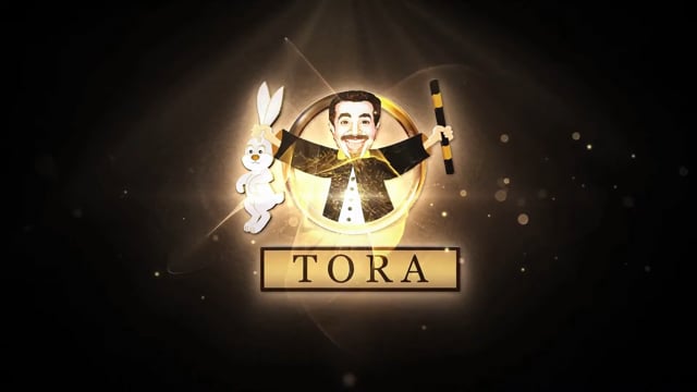 Video Head Fire by Tora Magic