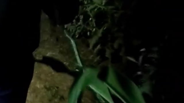 बाघराय थानाक्षेत्रके धारूपुर में ग्रामप्रधानकेकुछ साथियों पर पीड़ित ने लगाया दीवाल गिरानेकाआरोप पुलिस मुकदमादर्जकरजेलभेजा