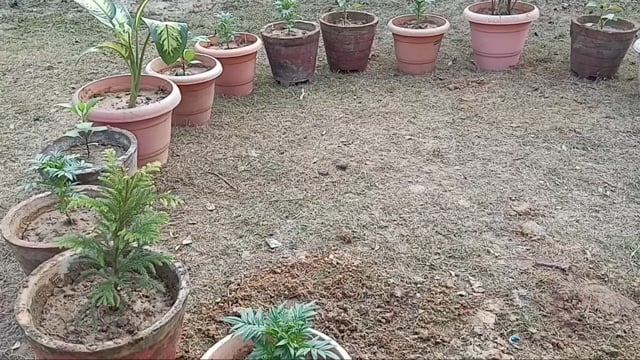 सिरदला थाना परिसर में सौन्दर्यी करण का कार्य जारी