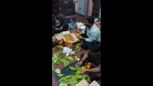 श्री सिद्धनाथ देवाची पाने व फळांची आरास 