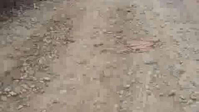 सरकार की गड्ढामुक्त सड़क योजना को पलीता लगाते जिम्मेदार विभागीय अधिकारी