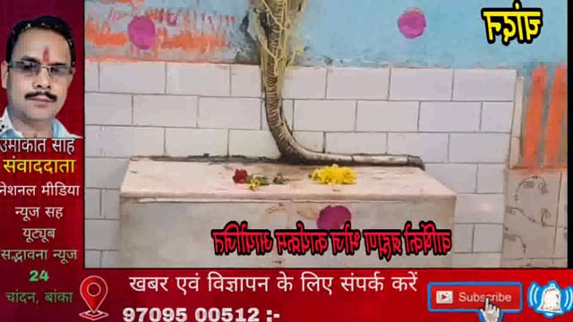 पाण्डेय टोला में ब्राह्मणों द्वारा आयोजित वार्षिक ब्राह्मण भोज शांतिपूर्ण ढंग से विधिपूर्वक पूजन के साथ हुआ संपन्न