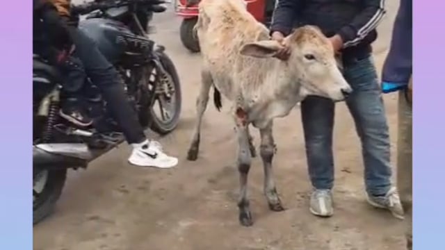 सूबेदार मेजर की टीम निरपक्ष भाव से 24 घंटे रात दिन तन मन धन से पूरे भारतवर्ष के अंदर सेवा कर रही है करती रहेगी 