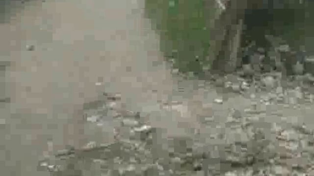 सरकारी रास्ते पर दबंगों का कब्जा, 26 ग्रामीणों का आवागमन बाधित, शिकायत के बाद भी नहीं हटा अतिक्रमण