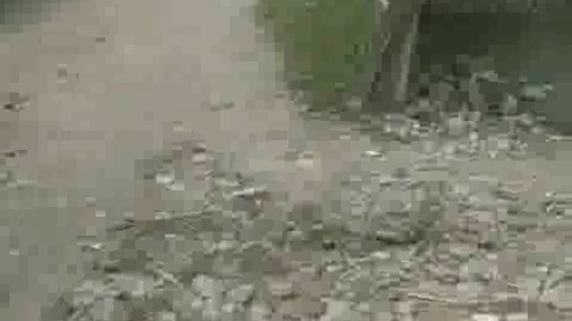 सरकारी रास्ते पर दबंगों का कब्जा, 26 ग्रामीणों का आवागमन बाधित, शिकायत के बाद भी नहीं हटा अतिक्रमण