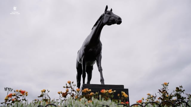 Recap a Magical New Year's Eve