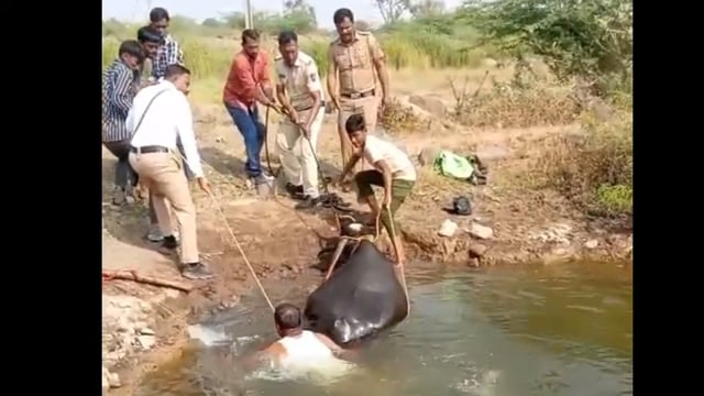 मुक्या जनावरासाठी धावले पोलीस; 65 फूट खोल विहिरीतून म्हैस वाचवली