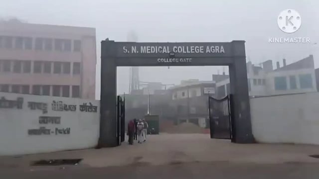  एसएन मेडिकल कॉलेज में कोई भी देखरेख नहीं मरीजो के सॉन्ग सोते मिले कुर्ते पूरे एसएन मेडिकल  में कुत्ते ही कुत्ते दिखाई 