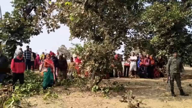 ओढ़नी ओ पी अंतर्गत बड़वासनी गांव के एक युवक को पलाश के पेड़ से लटकना मृत शव कटोरिया इंस्पेक्टर  व पुलिस ने किया बरामद