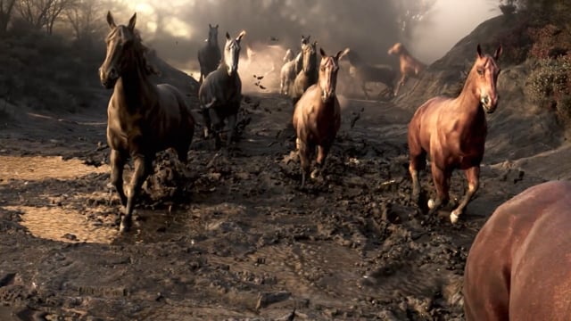 Fall 25 Quarter — Fowler