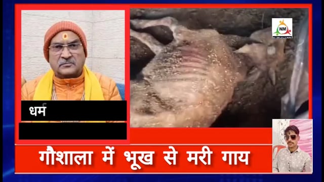 मथुरा के नौहझील ब्लॉक की गौशाला में भूख से मरीं करीब आधा दर्जन गाय, प्रशासनिक आदेशों की हुई अवहेलना।