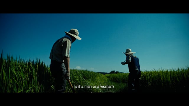 Mash ville - Trailer (English sub)