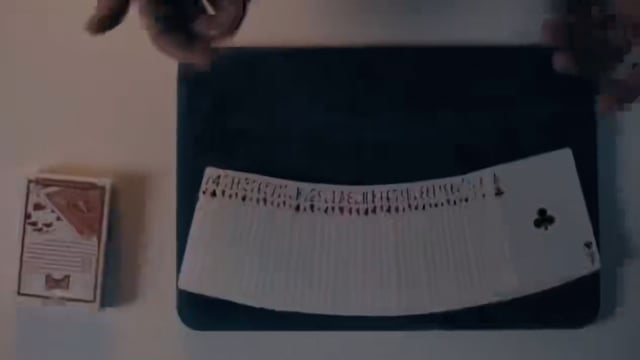 Video Suits Piece