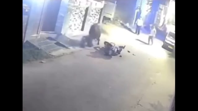 सड़क पर आवारा सांडों से बचकर चलें यह जानलेवा भी साबित हो सकते हैं