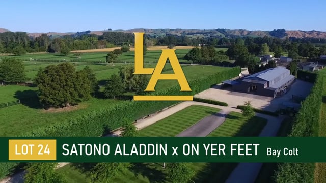 Satono Aladdin (JPN) ‐ On Yer Feet (NZ)