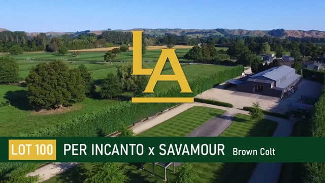 Per Incanto (USA) ‐ Savamour (NZ)