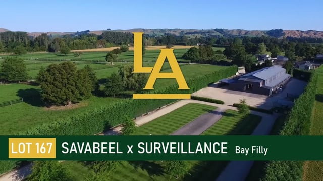 Savabeel (AUS) ‐ Surveillance (NZ)