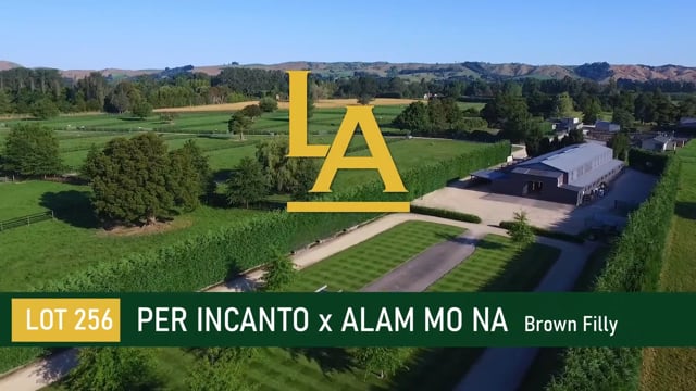 Per Incanto (USA) ‐ Alam Mo Na (AUS)