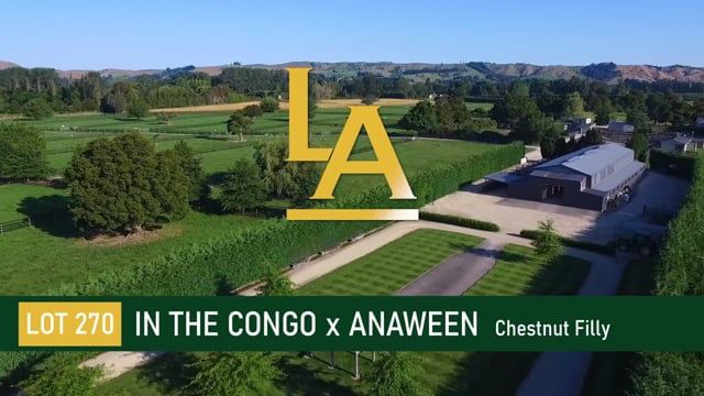 Anaween - In the Congo