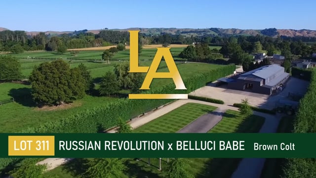 Russian Revolution (AUS) ‐ Belluci Babe (NZ)