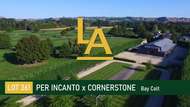 Per Incanto (USA) ‐ Cornerstone (AUS)