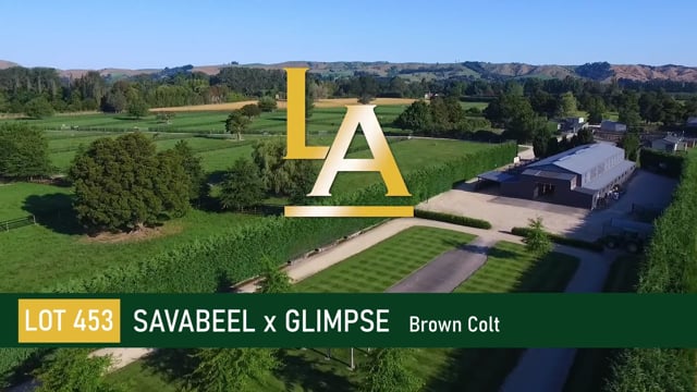 Savabeel (AUS) ‐ Glimpse (NZ)