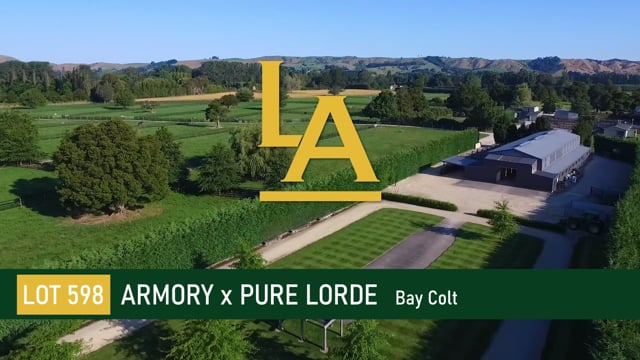 Armory (IRE) ‐ Pure Lorde (NZ)