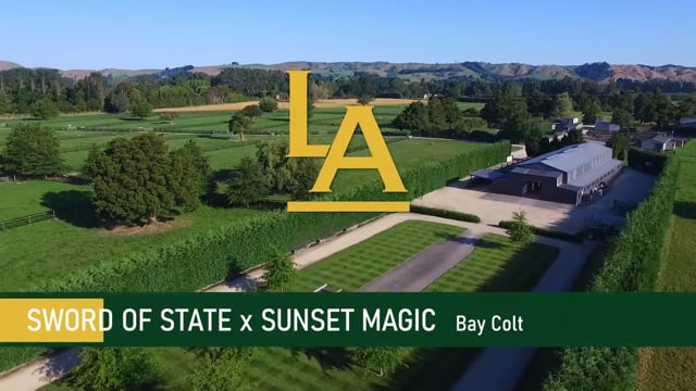 Sword of State (AUS) ‐ Sunset Magic (NZ)