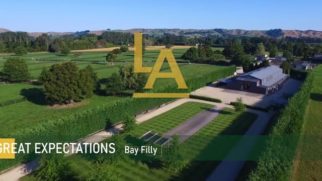 Per Incanto (USA) ‐ Great Expectations (NZ)