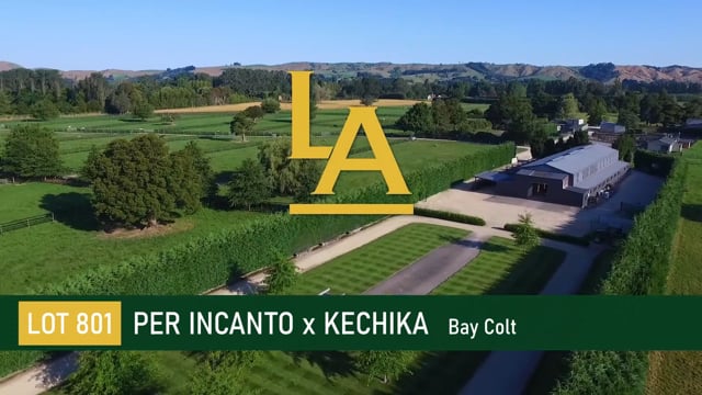 Per Incanto (USA) ‐ Kechika (AUS)