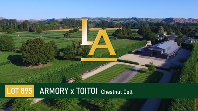 Armory (IRE) ‐ Toitoi (NZ)