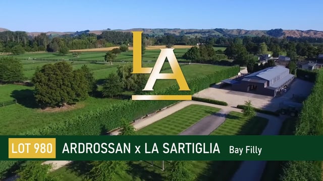 Ardrossan (AUS) ‐ La Sartiglia (NZ)