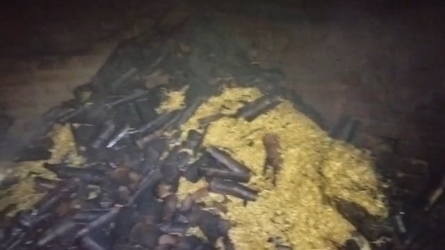 चौथा गांव के पशु शाला में लगी आग, दो गर्भस्थ पशुओं की हुई मौत, मुआवजे का किया मांग