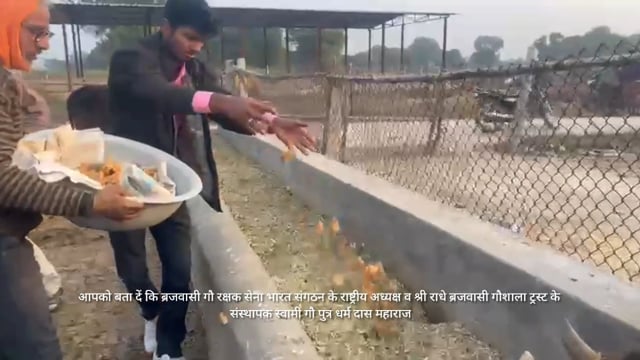 बृजवासी गौ रक्षक सेना भारत के गौ सेवक निसार्थ भाव से 24 घंटे दिन रात सेवा करते हुए गौ माता राष्ट्र माता घोषित हो 