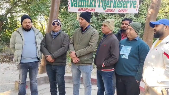 सफारी के दौरान बाघ का दीदार, मोबाइल कैमरों में कैद हुआ दुर्लभ पल