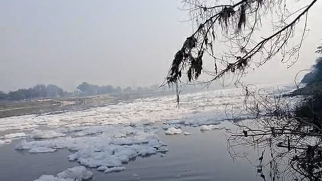 यमुना में गंदगी जीगता जागता सबूत