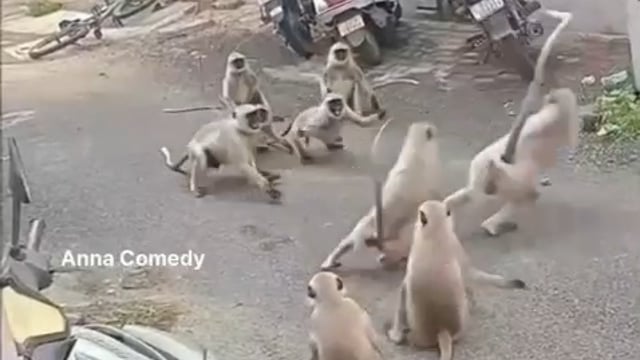 ▶️.....कब्बडी देखकर मजा लिजीए*

*तमाम टेंशन तो हर रोज़ की है🤣🤣🤣*