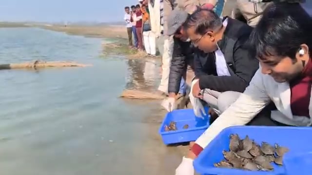 रामगंगा में 555 कछुआ शावकों का विमोचन
शाहजहांपुर। रामगंगा नदी की जैव विविधता के संरक्षण हेतु जिला गंगा समिति, डब्ल्यूडब्ल्यूएफ इंडिया व वन विभाग के संयुक्त तत्वावधान में गोरा घाट पर कछुआ विमोचन कार्यक्रम आयोजित किया गया। जिलाधिकारी धर्मेंद्र प्रताप सिंह व प्रभागीय वनाधिकारी सचिन कुमार ने 555 कछुआ शावकों को उनके प्राकृतिक आवास में छोड़ा। अधिकारियों ने कछुओं को नदी के बेहतर स्वास्थ्य का प्रतीक बताया।