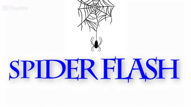 Video Spider Flash by Mago Flash