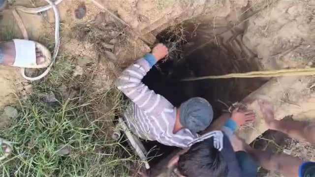 गौ माता के लिए 24 घंटे तैयार रहते हैं को पुत्र