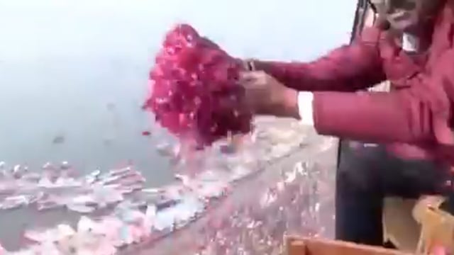 ▶️......CM योगी के निर्देश पर प्रयागराज में मौनी अमावस्या स्नान पर हेलीकॉप्टर से पुष्प वर्षा की गई