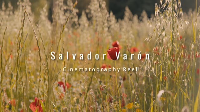 Salvador Varón | Reel 2026