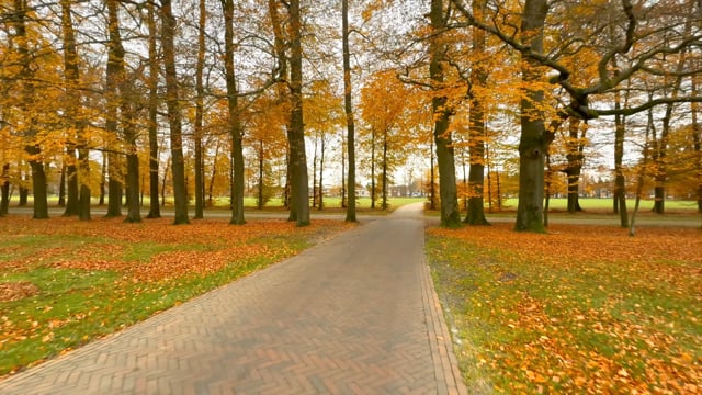 Virtual Walk – Paleis Het Loo, Apeldoorn, Netherlands 1