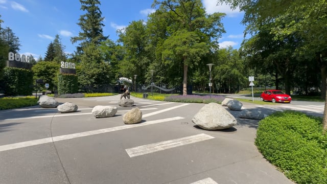 Virtual Walk –  Apenheul, Netherlands